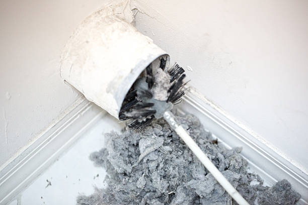 Best Affordable Air Duct Cleaning  in Manly, IA